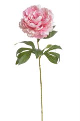 Umělá pivoňka na stonku, hlavička Ø15cm/dl.68cm