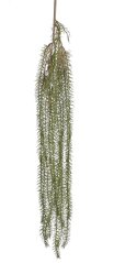 Umělá rostlina asparagus převis dl. 120cm