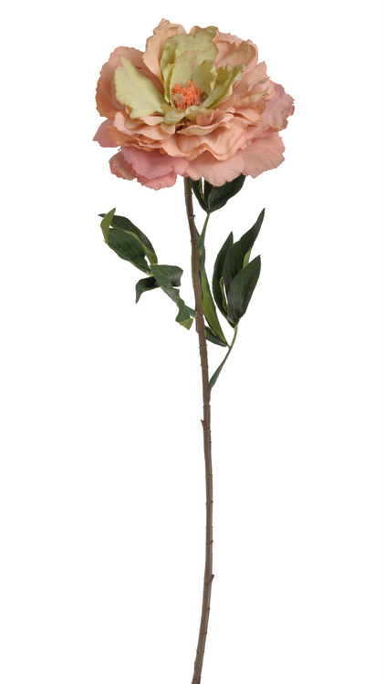 Květ rozkvetlé pivoňky na dlouhém stonku dl. 96cm