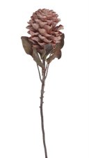 Umělý květ protey starorůžový 72 cm – dekorativní exotická květina