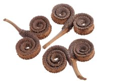 Přírodní dekorace Palm Ring vel. 15cm - 10ks