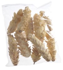 Přírodní dekorace šišky Strobus bělené dl. 10-15cm W - 5ks