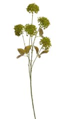Dekorace umělý kvetoucí česnek 5 květů, květ Ø 7cm, dl.celkem 75cm - zápich