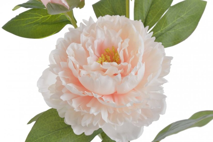 Umělá pivoňka s 2květy a poupětem, květ Ø10cm/ celková dl.65cm