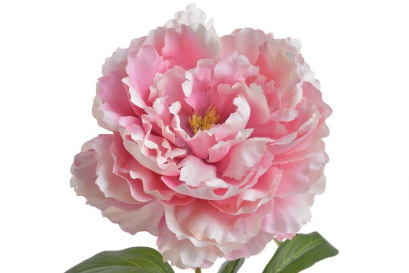 Umělá pivoňka na stonku, hlavička Ø15cm/dl.68cm