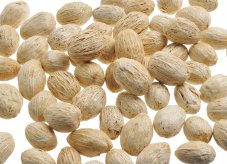 Přírodní dekorace Amra pod  bělená - 300g