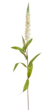 Umělá ostrožka s listy - 2 výhony dl. 78cm