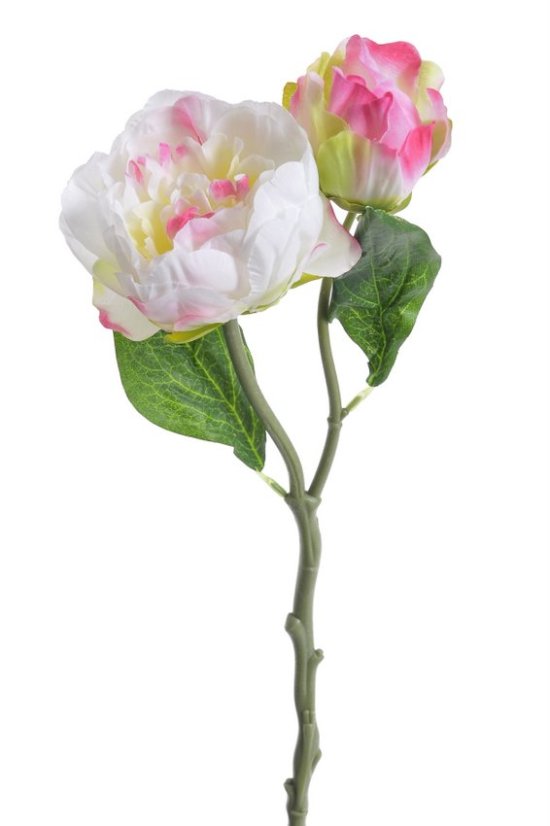 Umělá pivoňka s poupětem, dl. 37cm - Barva: Bílá / růžová