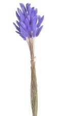 Přírodní sušený,bělený/barvený lagurus dl. 60cm  LAVENDER
