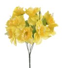 Narcisky