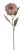 Umělý květ protea na stonku, květ 10cm/dl.72cm