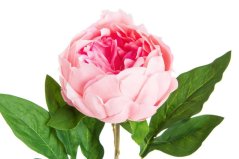 Umělá pivoňka na stonku s listy, hlavička jako živá, hlavička Ø 9cm, dl.58cm