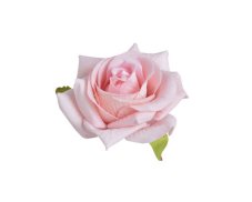 Hlavička středně velké umělé růže Ø 7.5 cm - 6ks