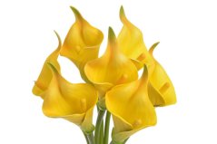 Svazek umělých kal, hlavička 7cm dl. 37cm - 7 kusů