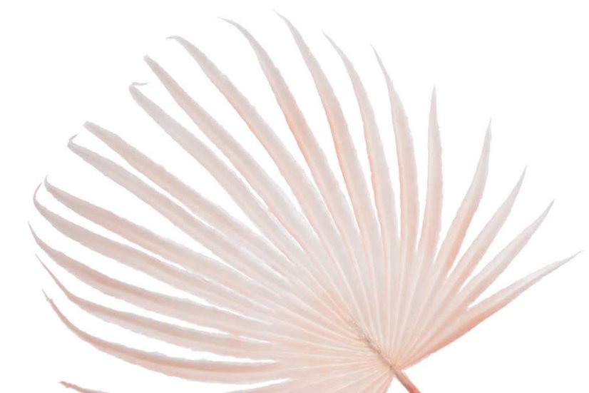 Umělý barvený list palmy vel. 57cm