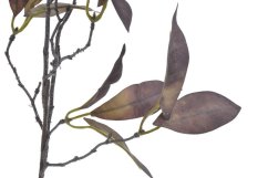Umělá podzimní větvička s listy dl. 83cm