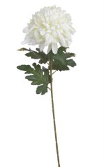 Chryzantéma na stonku s listy, 73 cm