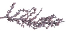 Přírodní materiál canella wash KATHA cca. 25cm - 5ks