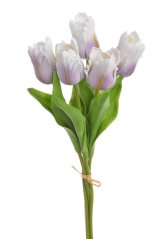 Tulipán papouščí 5 ks ve svazku s listy, 32 cm, barva 16