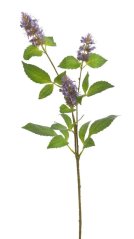 Umělá kvetoucí pačule 3 květy, dl. 75cm