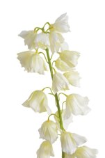 Umělé kvetoucí zvonky,  květ Ø 4cm, zápich dl. 98cm