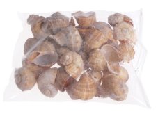 Přírodní dekorace  ulity Chirattai 6 - 7cm - 1kg