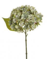 Květ hortenzie na stonku s listy - květ Ø 14 cm, dl. 33 cm
