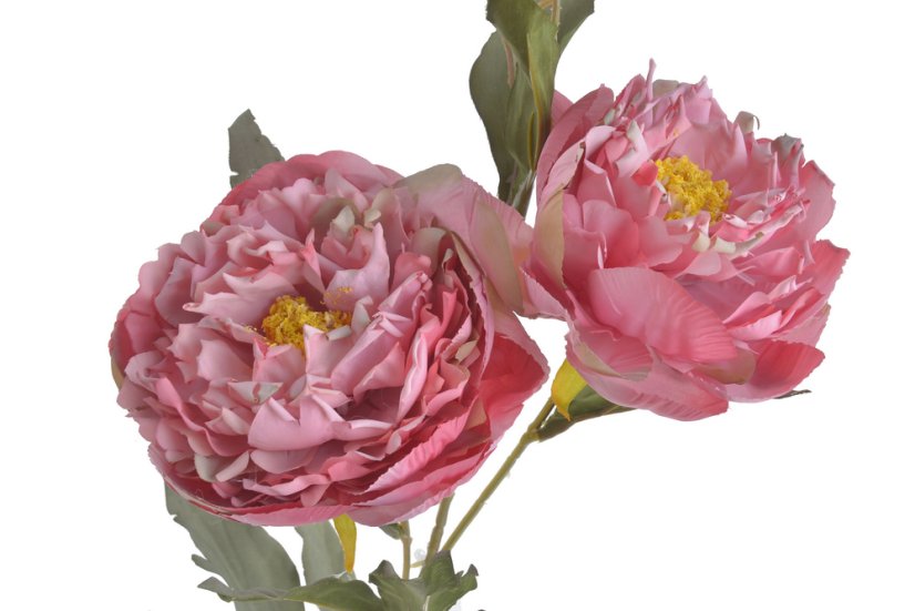 Umělá pivoňka na stonku s listem - 2 květy a poupě, květ Ø 10cm, celková dl. 87cm