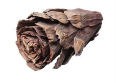 Sušený plod Strobus Flower přírodní 9 cm, 10 ks