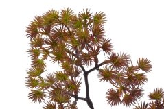 Umělá modřínová větvička dl. 56cm