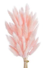 Přírodní sušený,bělený/barvený lagurus dl. 60cm  LT.PINK