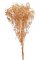 Přírodní gibsophila preparovaná dl. 73cm - 120g CREAM