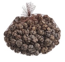 Přírodní šišky cypřiše (Cypressus Pinus) 3,5–5 cm, 1 kg