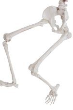 Závěsná dekorace kostra Halloween 62 cm