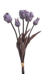 Tulipán papouščí svazek x 5, 45 cm