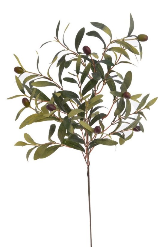 Dekorace větev olivovník dl. 72cm