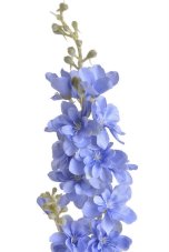 Umělá ostrožka dl.86cm