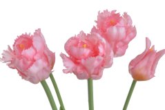 Svazek umělých papouščích tulipánů hlavička 5,5cm, celkem dl. 46 cm - 5ks