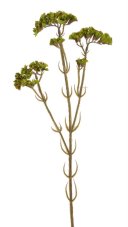 Umělá statice 62 cm – olivově zelená