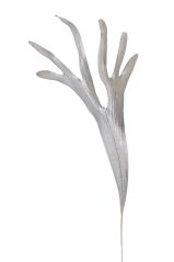 Parožnatka bílo stříbrná 58 cm