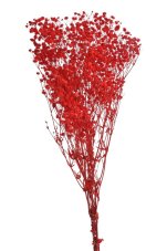 Stabilizovaná gypsophila (nevěstin závoj) červená 80 cm, 100 g