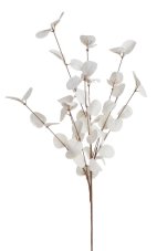 Větvička eukalyptu - pěna, 65 cm 14CAN09180_AI