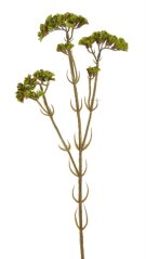 Podzimní květina umělá kvetoucí statice dl. 62cm