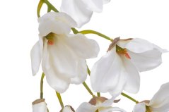 Umělá girlanda magnolie  dl. 70cm