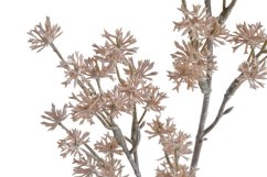 Vánoční dekorace - barvená větvička skimie dl. 64cm - zápich