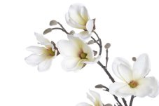 Vánoční dekorace umělá posněžená magnolie4 květy s listy dl. 92cm