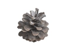 Přírodní dekorace Pinus Niger EXTRA WW 500g