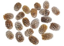 Přírodní dekorace Meridianum natural 2-3cm/200g