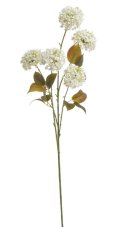 Dekorace umělý kvetoucí česnek 5 květů,  květ Ø 7cm, dl.celkem 75cm - zápich