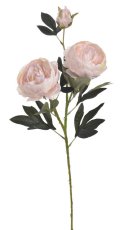 Umělé pivoňky na stonku s listy květ Ø 10 cm, dl.76 cm
